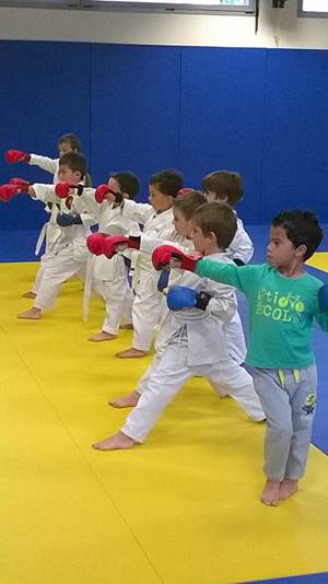 club karate dol de bretagne